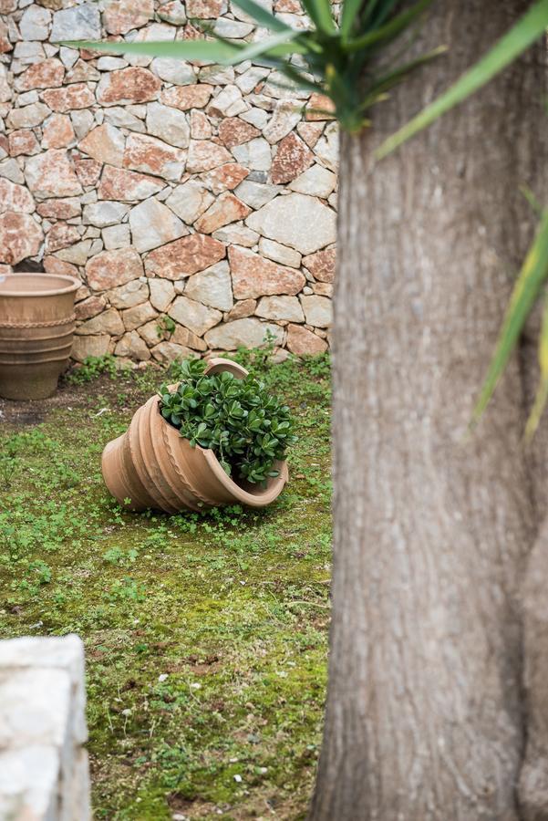Zen Serenity Retreat With Great Outdoors, Pool & Parking Aptera Екстер'єр фото