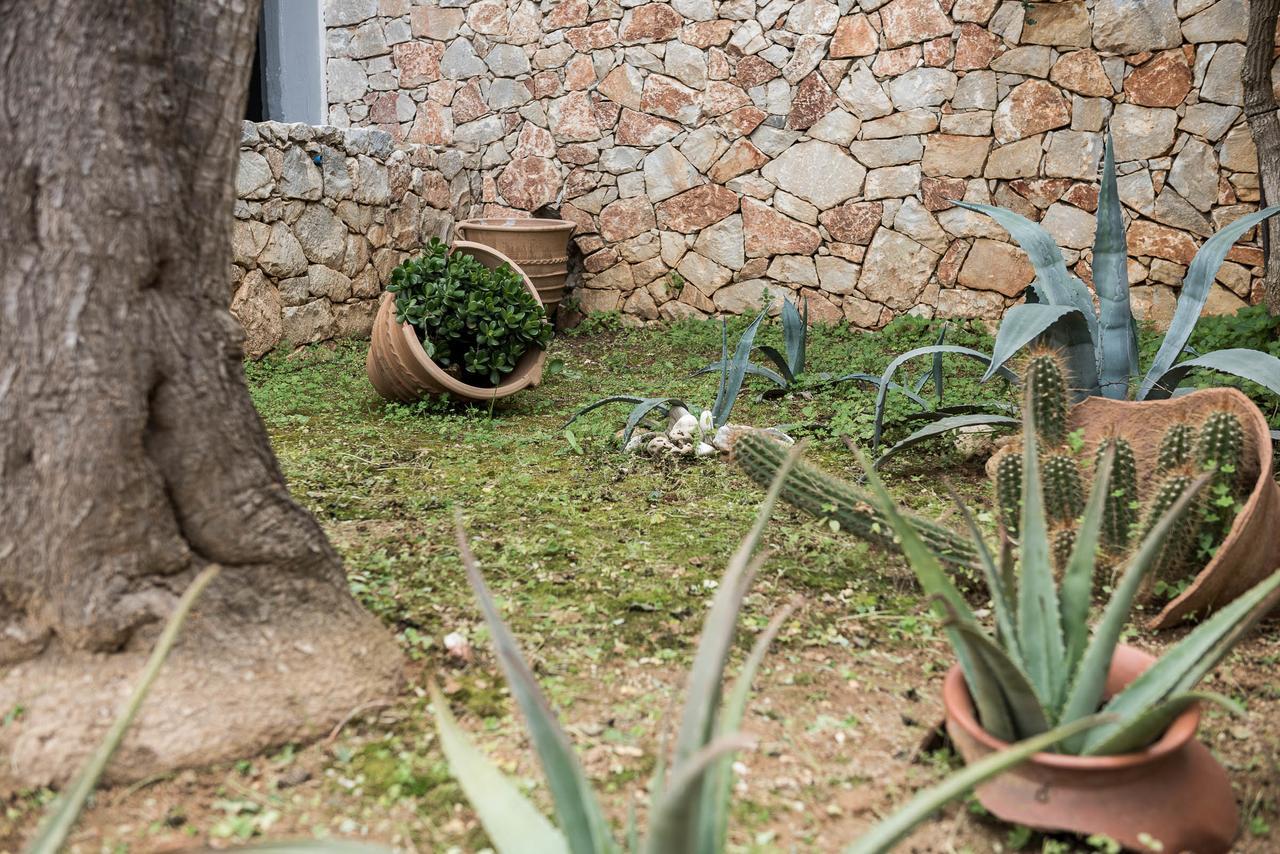 Zen Serenity Retreat With Great Outdoors, Pool & Parking Aptera Екстер'єр фото